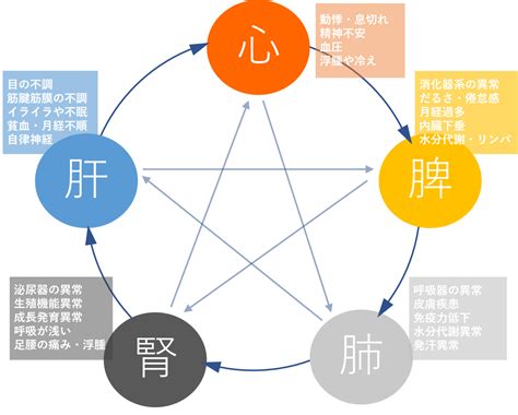 五行 体の部位|陰陽五行説と東洋医学の関係を解説！体質改善や美容。